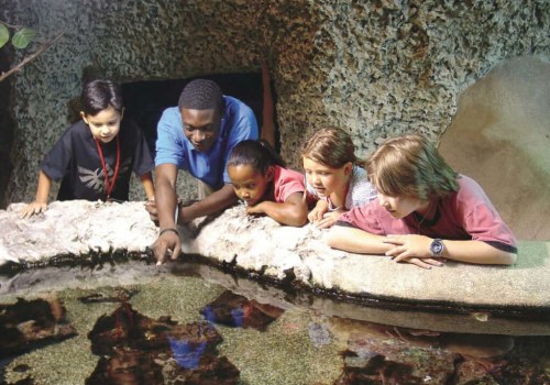 The Best Discounted Tickets for Students and Seniors at Theatres in Palm Beach County, FL